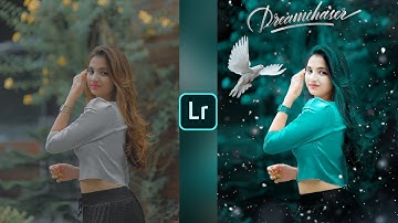 Lightroom bird effect photo editing tutorial | Lightroom background colour change || Lr photo edit
