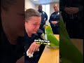 Parrot and police. The officer is really not beautiful at all, Parrot said! #parrot #police #shorts