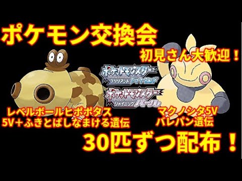 初見さん大歓迎 ポケモン交換会やります スピボヒポポタス 4 5v怠ける吹き飛ばし遺伝 とマクノシタ 5vバレパン遺伝 配布します Part2 ポケモンbdsp Youtube