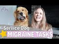 MIGRAINE SERVICE DOG // The OTHER tasks I trained my Migraine Dog to do