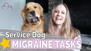 MIGRAINE SERVICE DOG // The OTHER tasks I trained my Migraine Dog to do