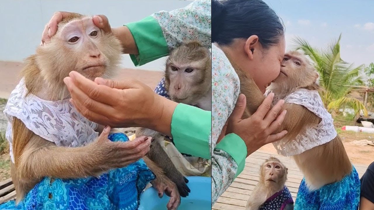 Sweet Kiss of yaya to mom