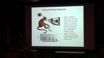 16_04_11: SBE II: Lecture 31: Dr. Kechen Zhang