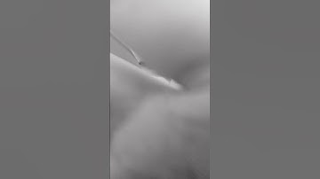 64 bits 32 bits 16 bits 8 bits 4 bits 2 bits 1 bit Half bit quarter bit