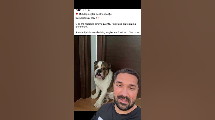 Motivul să-și ABANDONEZE CÂINELE E IREAL! #caine #adopta #bulldog #shorts #tudorestischimbarea