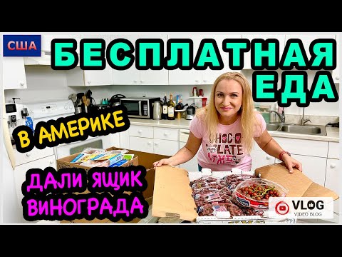 Бесплатная еда в Америке/ Ящик винограда и много мяса/Какой фудбанк мы посещаем? /США/ Флорида