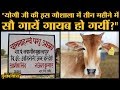 Hardoi की इस गौशाला का हाल Yogi Adityanath को जरूर देखना चाहिए | Naya Gaon | Cow Politics | Loksabha