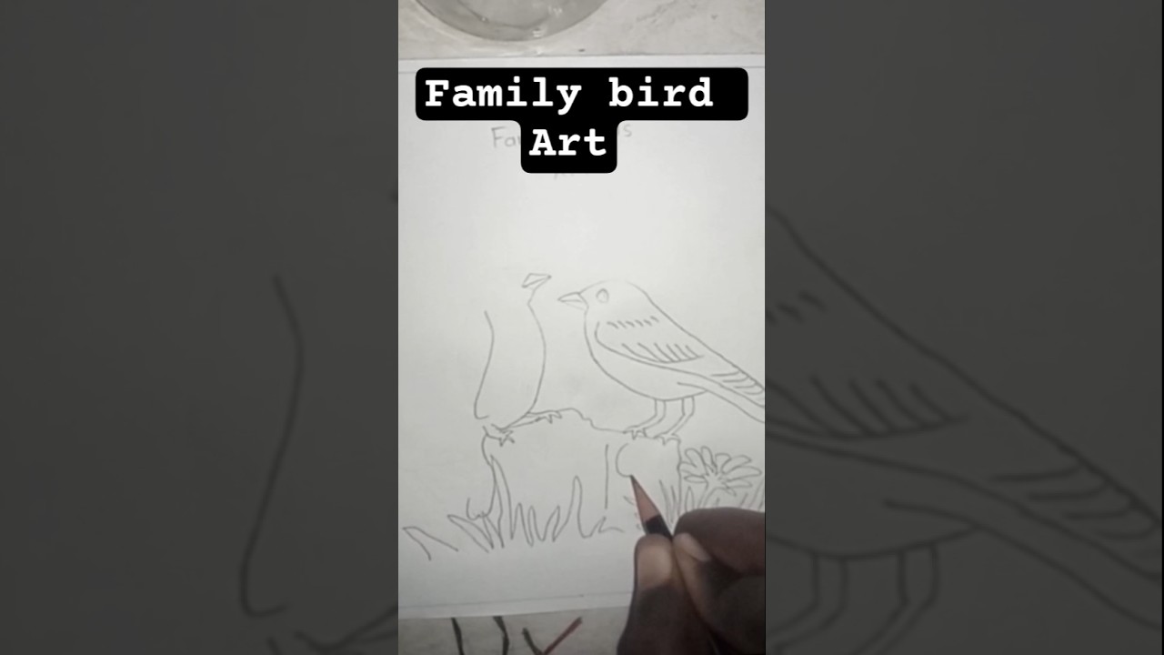 ✏️ Two Birds Drawing | Easy & Beautiful Art