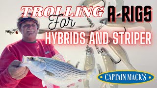 NC Fall Trolling for Hybrids with Captain Macks Mini Mack ARigs on Leadcore Line and Downriggers