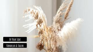 Vandelux & Tailor - By Your Side