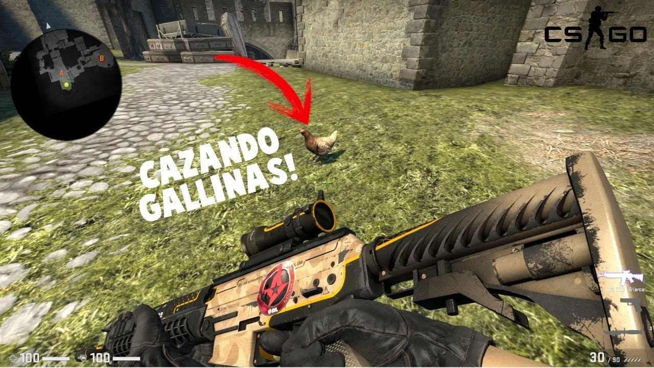 CS:GO - CAZANDO gallinas VOLADORAS!! :D - YouTube