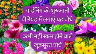 बागवानी की शुरुआत कर रहे हैं तो लगाएं इन 12 खुबसूरत और हार्डी पौधे को जो बिना देखरेख के चलेंगे