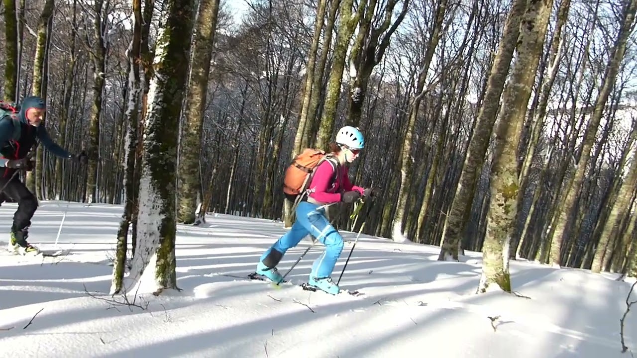 Ortzanzurieta, Basajaunberro pgd. Blackstar. David Bowie