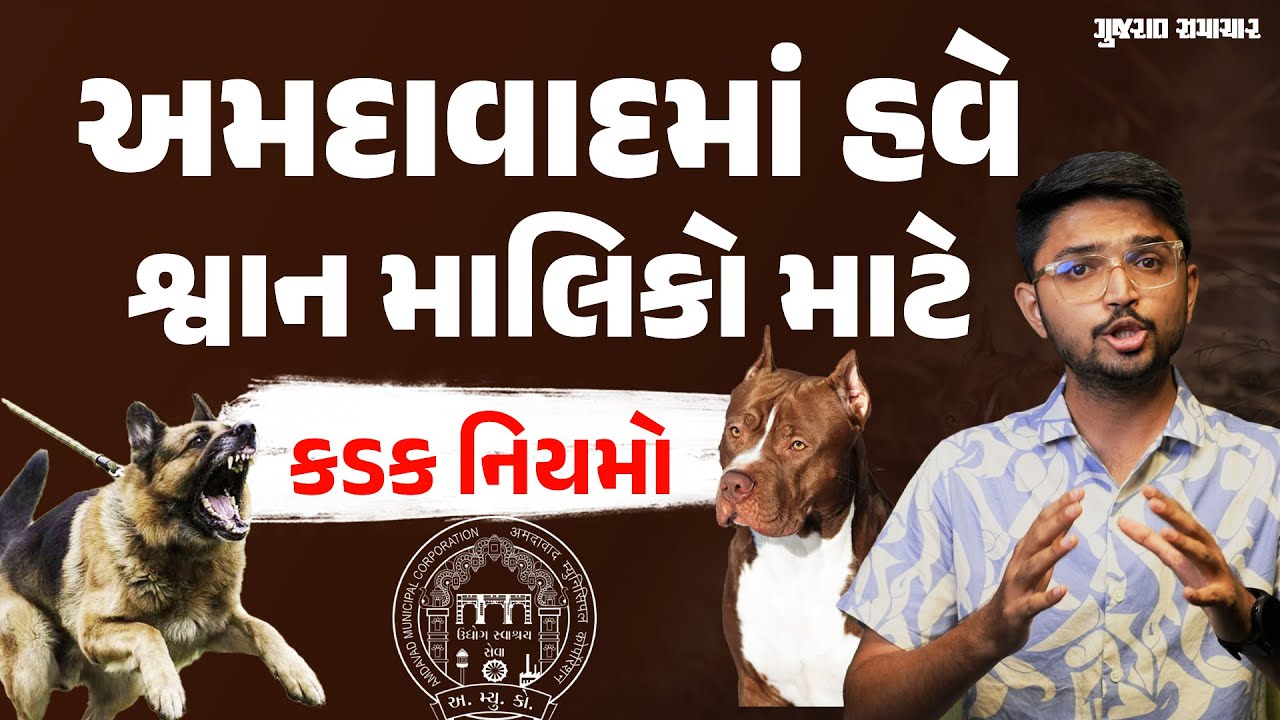 Ahmedabad માં પાલતુ પ્રાણીઓના માલિકો માટે કડક નિયમ, 31 મે પહેલા કરવું પડશે આ કામ | Gujarat Samachar