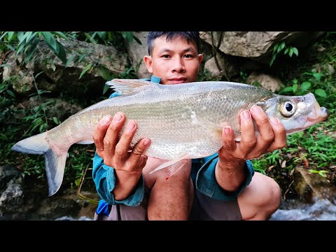 Video CÁ, TÔM SÔNG ĐÀ - Thợ Săn • Tập 5 - youtube