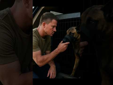 تلك الأمنية الأخيرة التي حققها كلب وحيد قصير