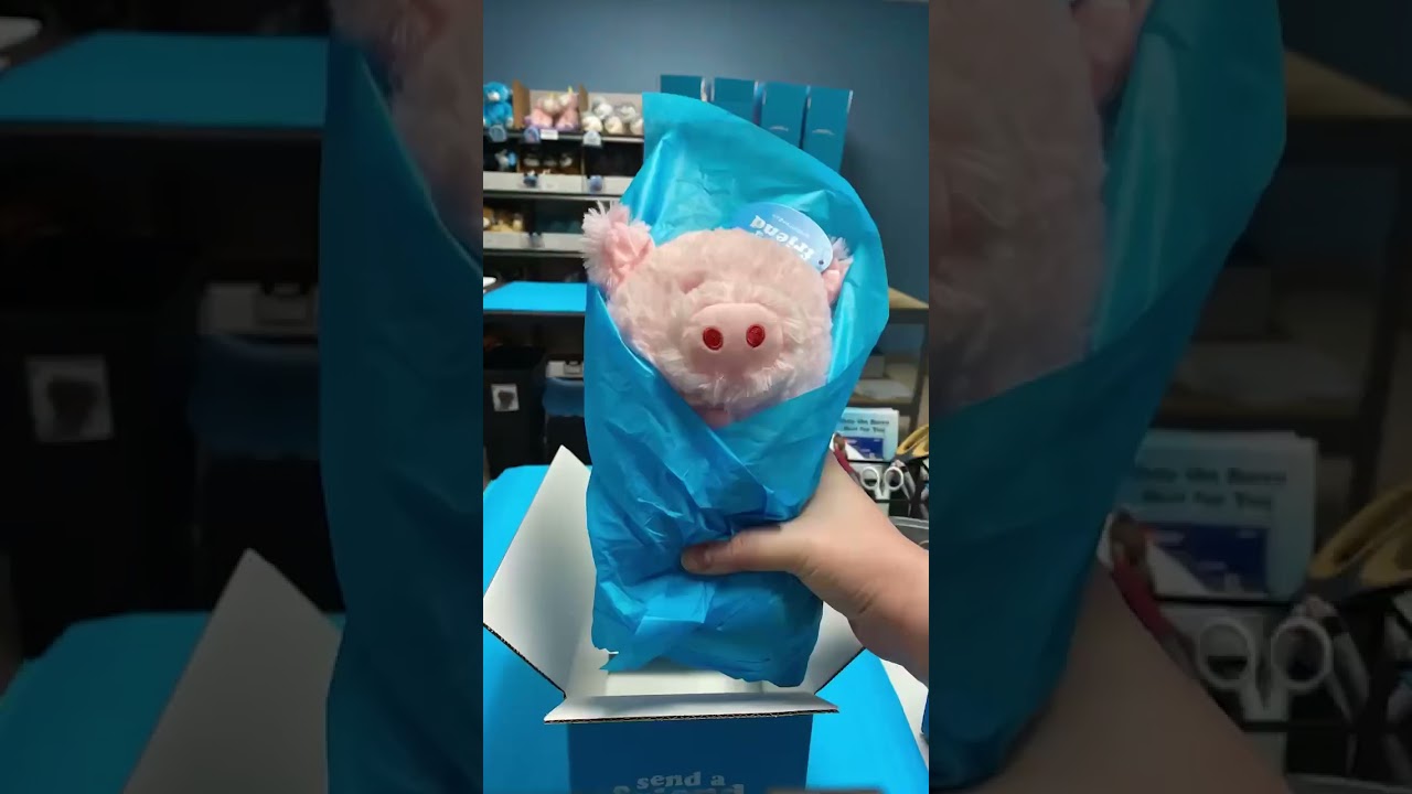The cutest pig stuffed animal 🥰 
