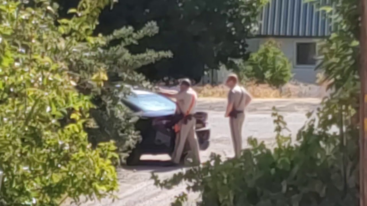 Fugitive Caught in McCloud Ca Part 2 YouTube