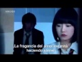 boys before flowers: someday do you know - ss501 (sub esp)