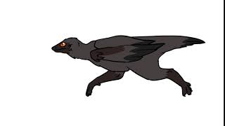 Bird Animation