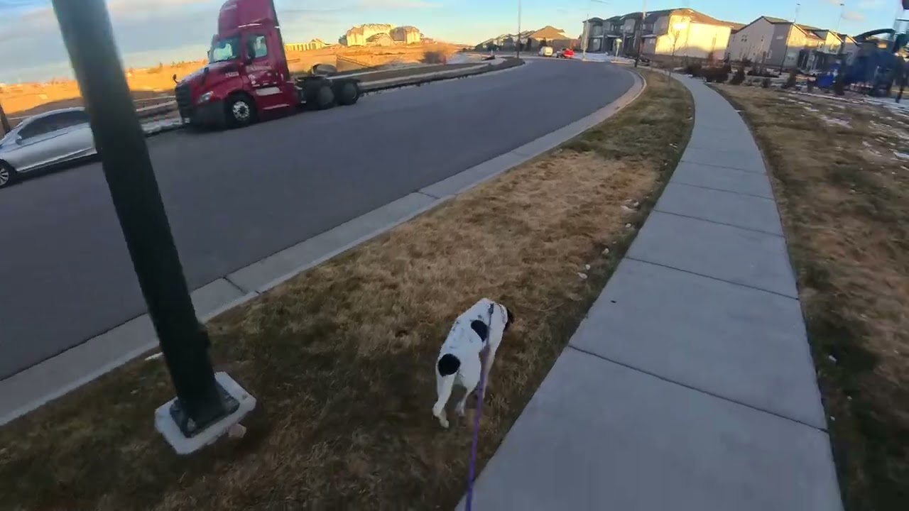 Ramona and Brett Evening Walk Dec. 07, 2025