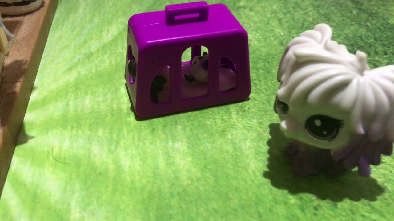 Littlest Pet Shop LPS Minişler Veterinerde YouTube