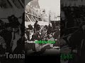 Столкновение лошади и автомобиля. Неожиданный финал   #история #факты #россия
