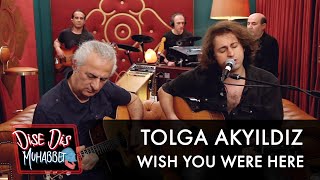 Tolga Akyıldız - Wish You Were Here