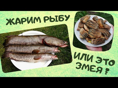 Рыба-змея | Как пожарить змееголова | ВКУСНОДЕЛ