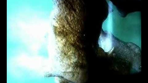 DirectX 10 Vista Demo 8800gtx SLI "30"LCD