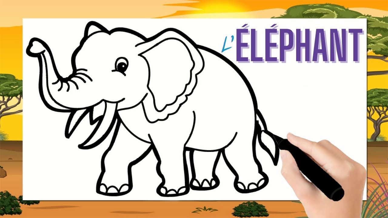 Dessiner Un éléphant Facile Maternelle www.youtube.com