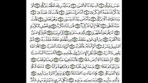 سورة عبس للقارئ عبد النور رحيم