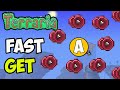 Terraria how to get format c fast 2024