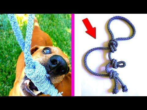 DIY - VERY SIMPLE toy for dogs from the rope | Nika crafts