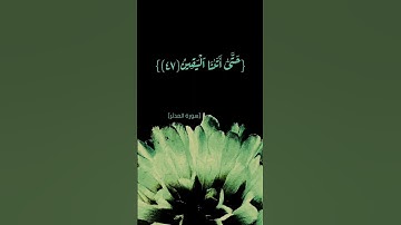 سورة المدثر الآية ٣٨ الى ٥١ بصوت الشيخ ماهر المعيقلي