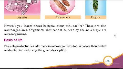6th standard Basic science Caskets of life  CLASS 6 | Basic Science | Chapter 1: Caskets Of Life