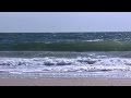 The Water Quality Challenge: Unraveling Earth's Most Vital Resource