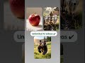 New Ai Tool Unlimited Video & Image No NeedCredit #shortvideo #viralreels #ai #aiimagegenerator