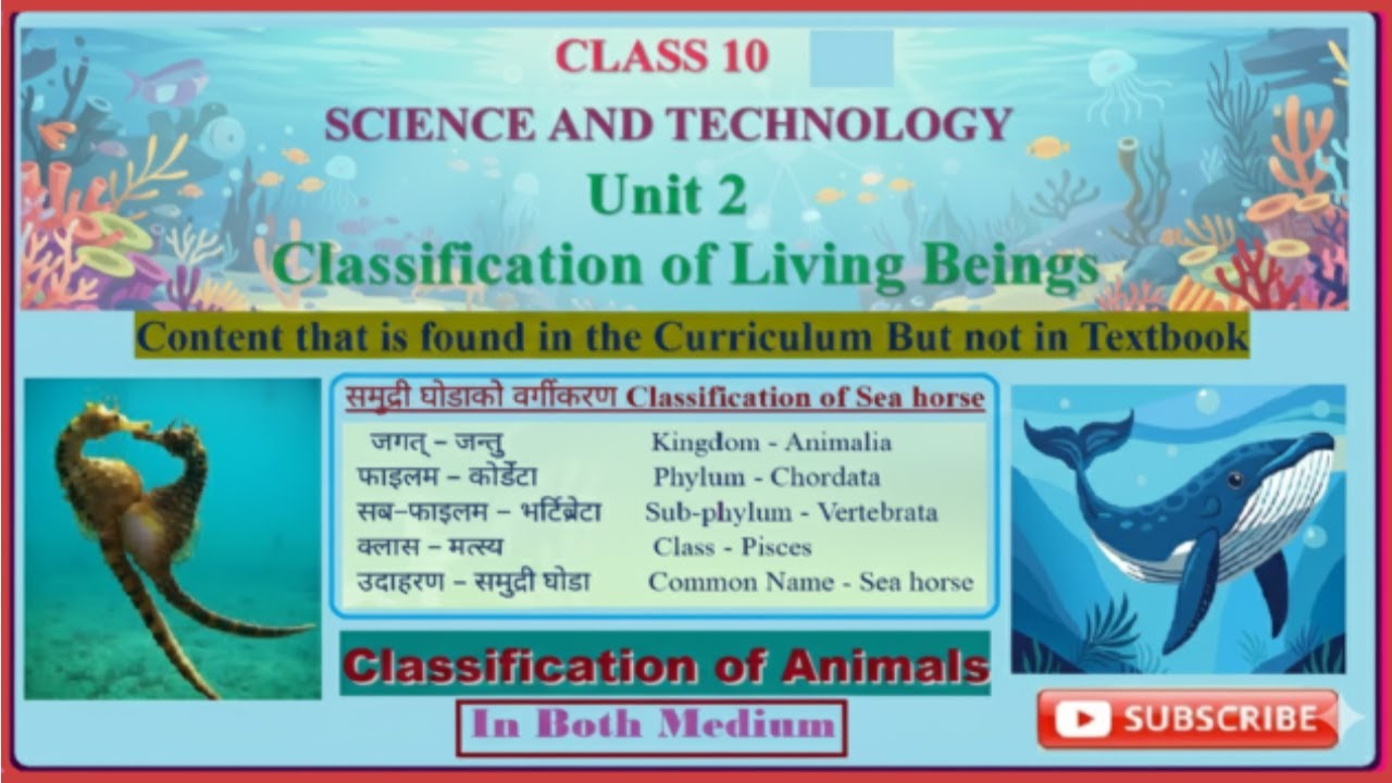 🌏SEE Success: Important Note 13. |Science & Technology: Unit 2. Part -8. Classification of Animals|