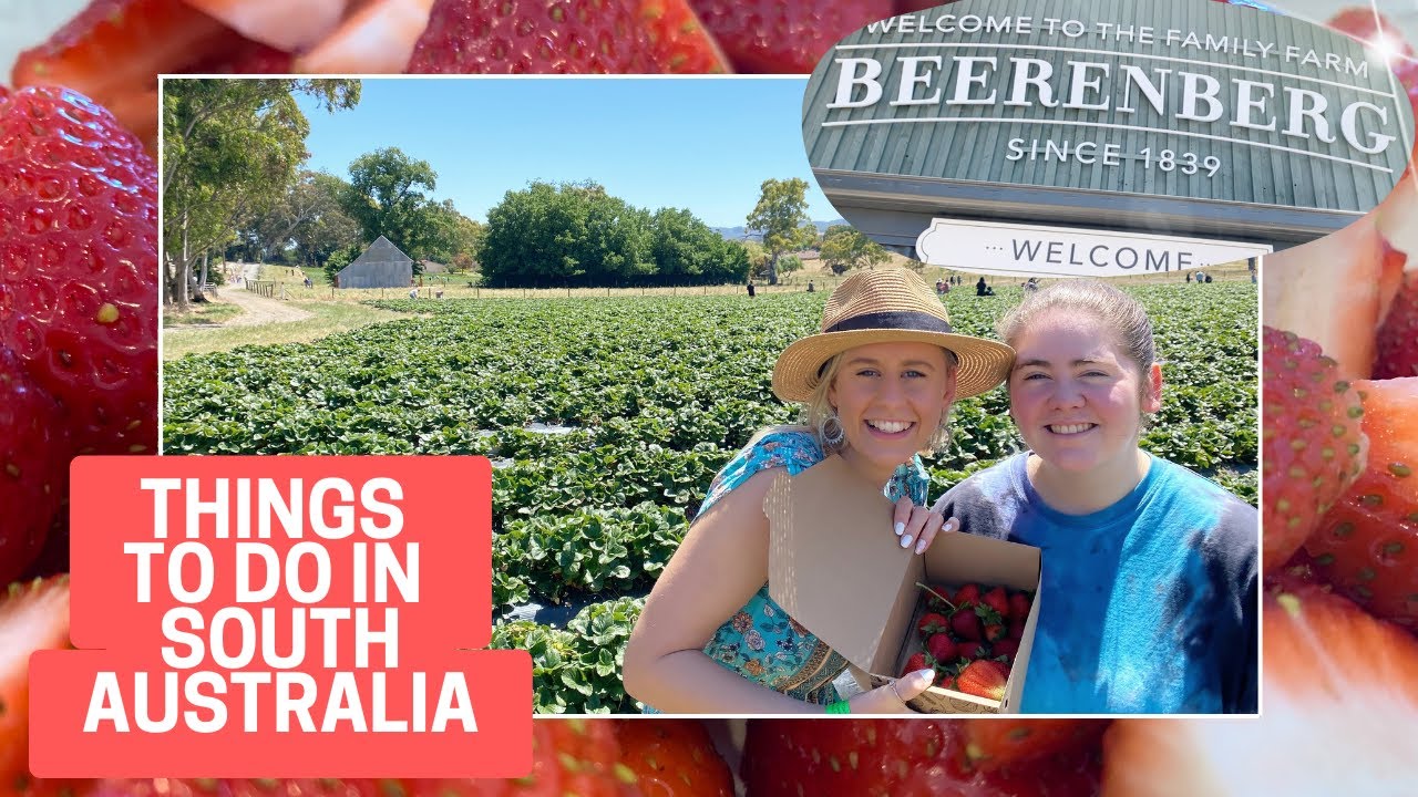MUST DO SCHOOL HOLIDAY ACTIVITY! Strawberry Picking @ Beerenberg Farm | 