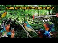 suara pikat burung Kolibri Wulung MP3 yg sangat memikat 💯 ampuh