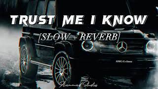 Trust Me I Know Slowed + Reverb   New Punjabi Song   Hammad Studios