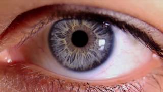 Lets Go - Designing Websites Intuitively Volex Design