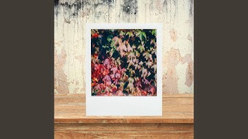 Pulsating Ambience for Clean Streets