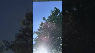 IMG 5136