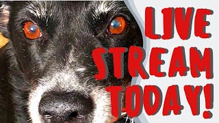 Drama-free Monday Nite LIVE! - 11-20-2023 - with Barb