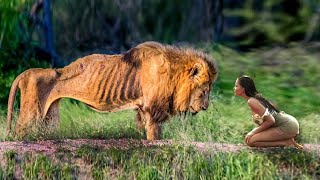 Les animaux qui ont demandé de l'aide et de la gentillesse!