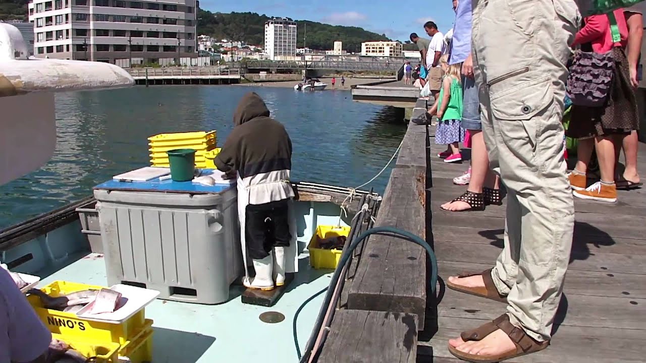 Fishermen Selling Fish from a Boat ― Wellington Harbour, NZ YouTube