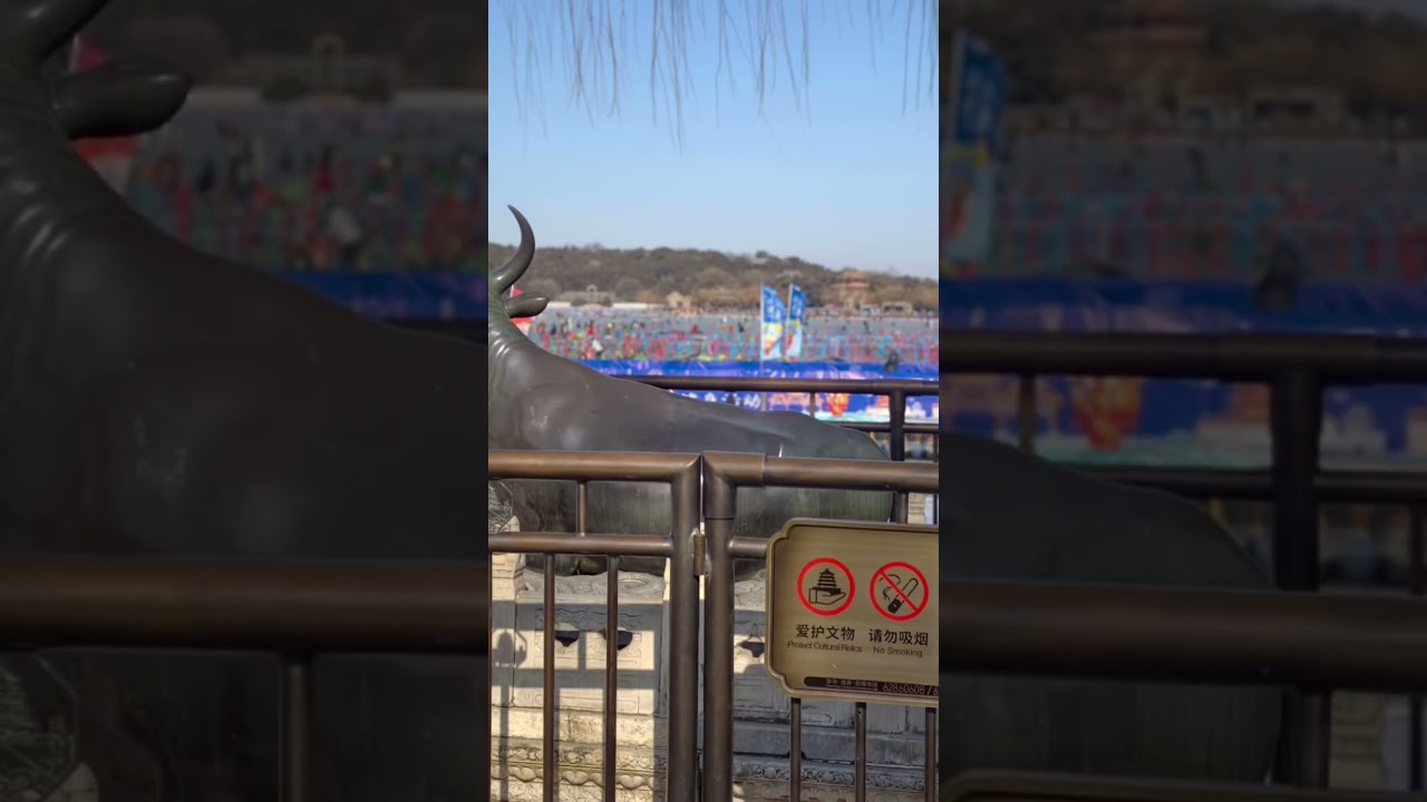 #china #fouramazingtea