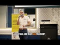 Reimagining Workforce Efficiency: Anthony Rice at Meshed Academy 2025